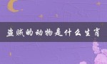 盗贼的动物是什么生肖（见利忘义的生肖是什么）