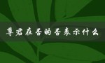 尊君在否的否表示什么（解析否在古代文化中的重要意义）