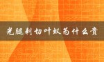 光腿刺切叶蚁为什么贵（叶蚁光腿刺切后吃什么）