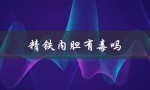 精铁内胆有毒吗（精铁内胆涂层有毒吗）