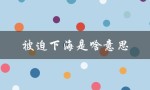 被迫下海是啥意思（什么是下海剧）