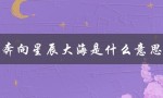 奔向星辰大海是什么意思（心有繁花，眼有星海）