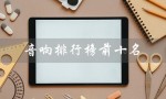 音响排行榜前十名（音响排行榜前十）