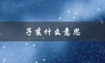 子亥什么意思（亥在子斗中是什么意思）