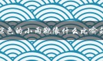 棕色的小雨靴像什么比喻句（小雨靴的比喻是什么）