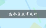 淡水鲨鱼有几种（淡水鲨鱼怎么做）