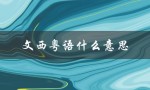 文西粤语什么意思（闻西粤语是什么）