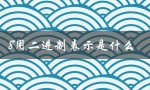 8用二进制表示是什么（二进制表示是什么）