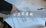 公众号名称（公众号推荐）