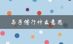与子偕行什么意思（修我甲兵与子偕行是什么意思）