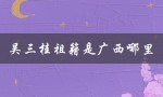 吴三桂祖籍是广西哪里（吴三桂祖籍在哪）