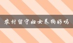 农村留守妇女养狗好吗：狗狗带来的心理和生理健康益处