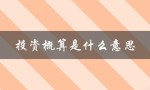 投资概算是什么意思（什么是投资）