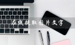 在线提取图片文字（什么是在线提取图片文字的软件）