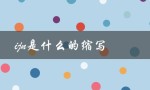 ijn是什么的缩写（什么是IJN）