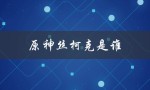 原神丝柯克是谁（丝柯克是男还是女）