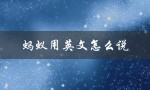 蚂蚁用英文怎么说（蚂蚁用英文怎么说）