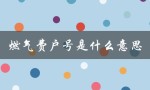 燃气费户号是什么意思（燃气费户号长啥样）