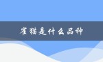 雀猫是什么品种（雀猫是什么品种）