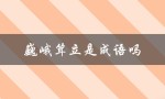 探究成语的定义和来源