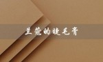兰蔻的睫毛膏（兰蔻睫毛膏好用吗）