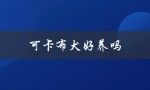 可卡布犬好养吗（不建议养可卡布犬的原因是什么）