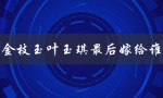 金枝玉叶玉琪最后嫁给谁（玉琪最终与谁在一起）