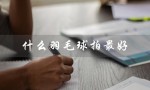 什么羽毛球拍最好（最好用的高颜值羽毛球拍是什么）