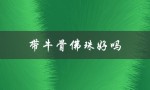 带牛骨佛珠好吗（牛骨佛珠108是什么）