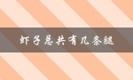 揭开虾子的奥秘：它们到底有几条腿？