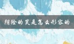 阴险的笑是怎么形容的（阴险的人怎么描述）