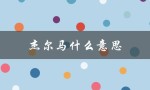 杰尔马什么意思（杰尔马66是什么）