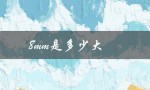8mm是多少大（8MM等于几）
