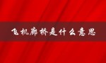 飞机廊桥是什么意思（飞机靠廊桥的含义是什么）