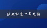 陕北红葱一年几熟（什么是陕北红葱）