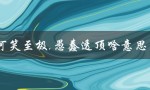 可笑至极,愚蠢透顶啥意思（解释一下这个词组的含义）