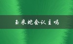 玉米蛇会认主吗（玉米蛇能否认主）