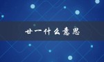 廿一什么意思（逢六廿一是什么意思）