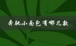 奔驰小面包有哪几款（奔驰小面包有哪几款）