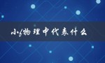 小f物理中代表什么（小Q代表物理中的什么）