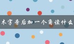 木字旁后加一个角读什么（木字旁加角是什么字）