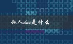 私人dns是什么（什么是私人DNS）
