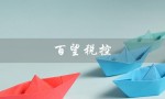 百望税控（百望税控发票软件是什么）