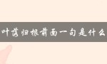 叶落归根前面一句是什么（叶落归根前面是什么话）