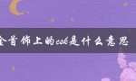 黄金首饰上的csk是什么意思（黄金上的csk代表什么）
