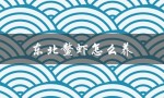 东北鳌虾怎么养（东北有哪些鳌虾养殖基地）