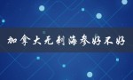 加拿大无刺海参好不好（加拿大无刺海参有营养吗）