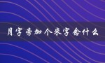 月字旁加个米字念什么（探究汉字构造规律）