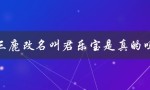 三鹿改名叫君乐宝是真的吗（婴幼儿奶粉排名前十）