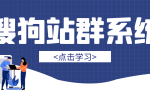 搜狗网站排名软件智能优化（搜狗排名点击软件搜狗排）